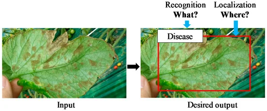 AI image-based plant disease detection: recognition and localization from leaf images