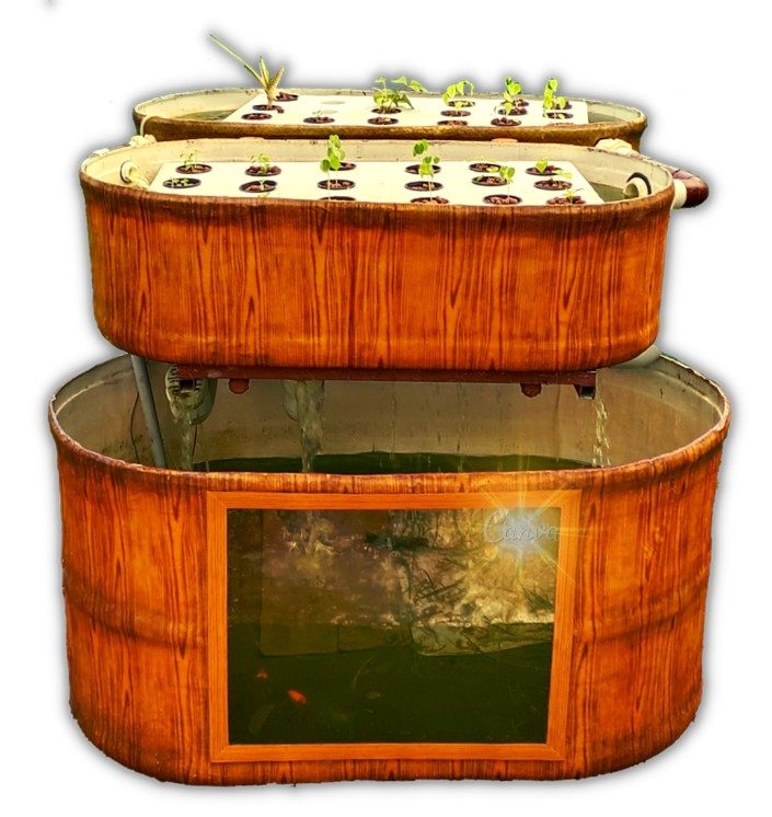 Compact automated aquaponics system combining fish and plants