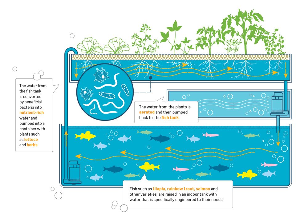 Sensor-integrated process monitoring schematic for decentralized waste and water systems